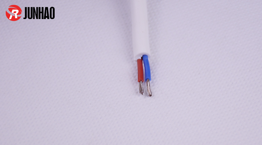 1-1Q12G63019261 white 2 core power plug cable 6mm